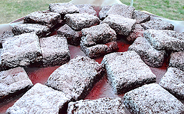 LAURELHURST SALMON BAKE 2014